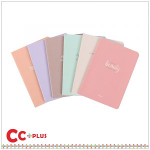 Notebook 11-1.1