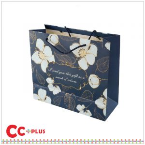 Paper bag 18-3.1