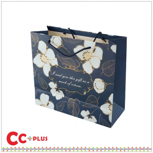 Paper bag 18-3.1