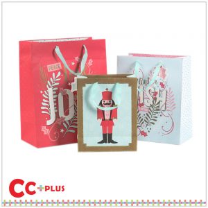 Paper bag 5-1.1